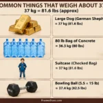 37-kg