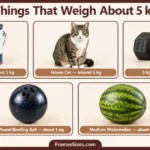 things-thst-weight-5-kg